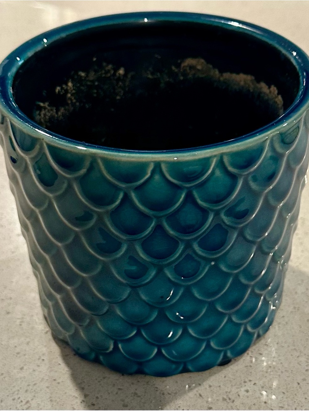 Teal Ceramic Scalloped Planter - Brand Unknown